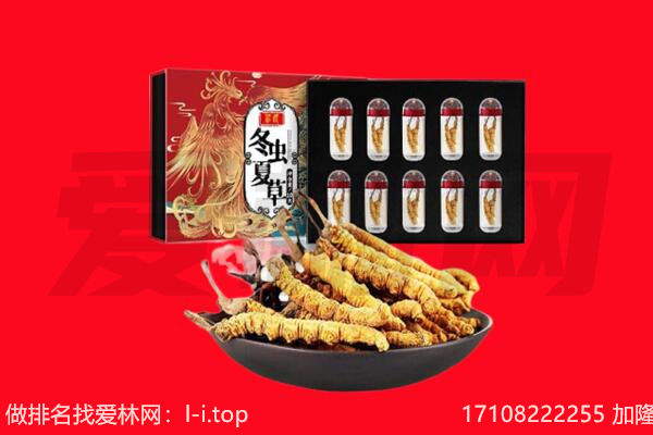 屯留区回收虫草.jpg